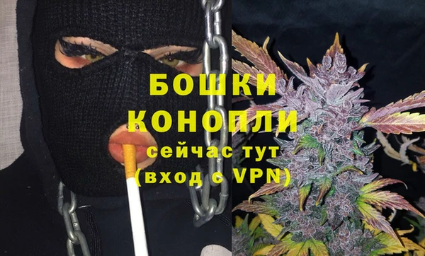 сатива Навашино