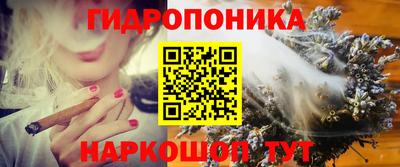 стаф Заводоуковск