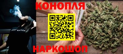 стаф Заводоуковск