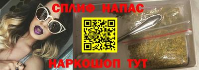 стаф Заводоуковск