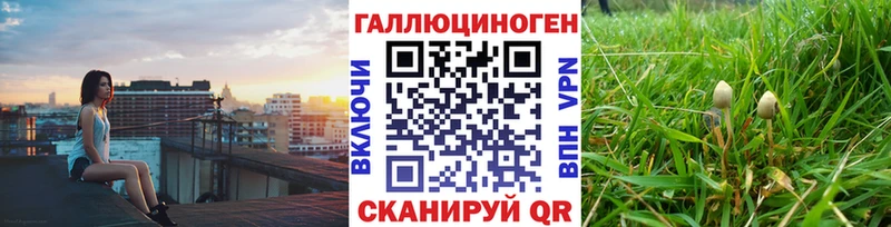 Псилоцибиновые грибы Psilocybe  Южно-Сахалинск 
