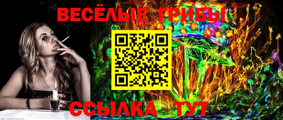 Псилоцибиновые грибы Psilocybine cubensis Южно-Сахалинск